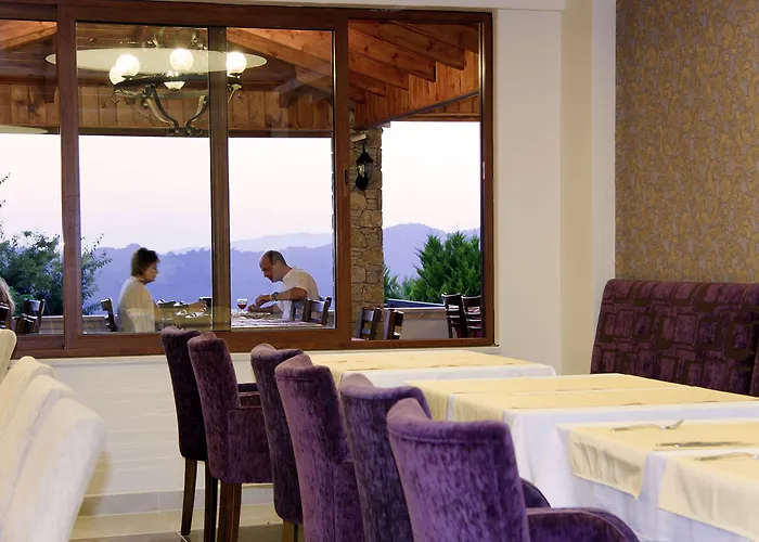 ホテル Perdikia Hill And