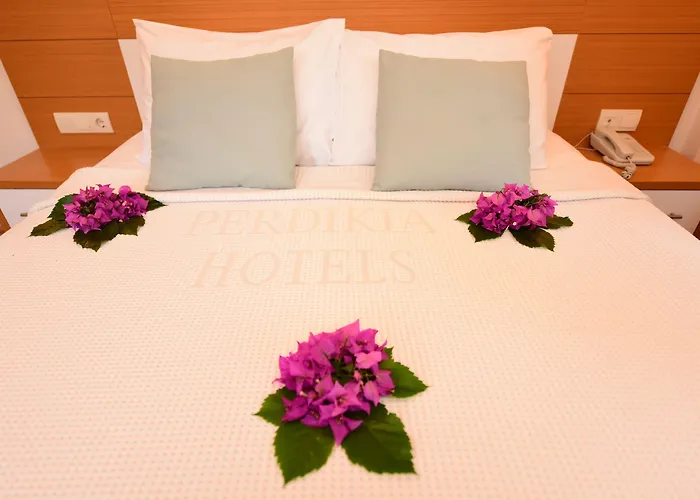 ホテル Perdikia Hill And 3*